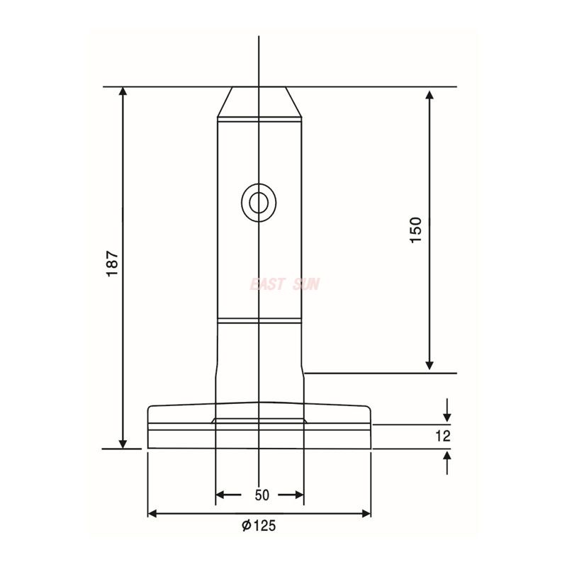AP-006-Zapfen
