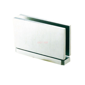 PTD-201B-Pivot Door-Serie